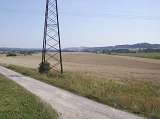 Pšenice ozimá v Lukavici u Žamberka.