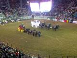 Rodeo (2)