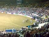 Rodeo (4)