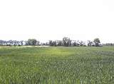 pš. oz.,okr. Olomouc
