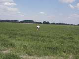 agronomická kalibrace