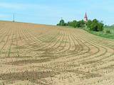 Přesetí/vynechávky mezi vnitřními řádky a souvratí - kukuřice (1)