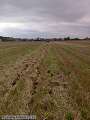 Hloubkové podrývání s Trimble RTK VRS Autopilotem (2)