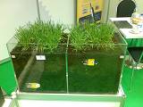 Techagro 2016 - senzory půdní vlhkosti Soil Scout