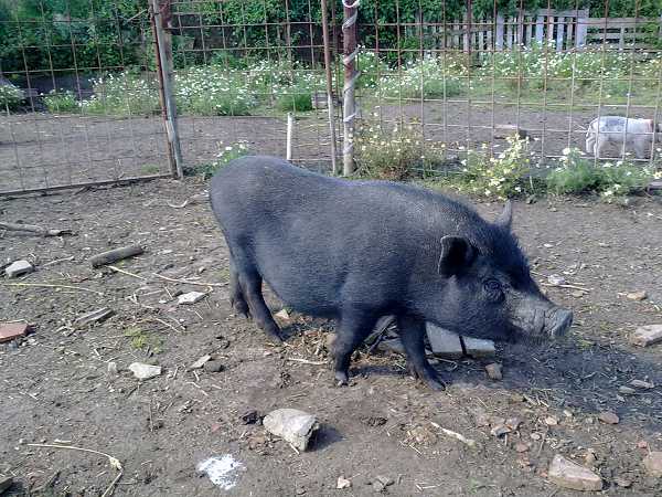Zavřít okno
