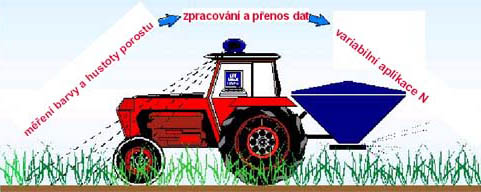 N-Sensor